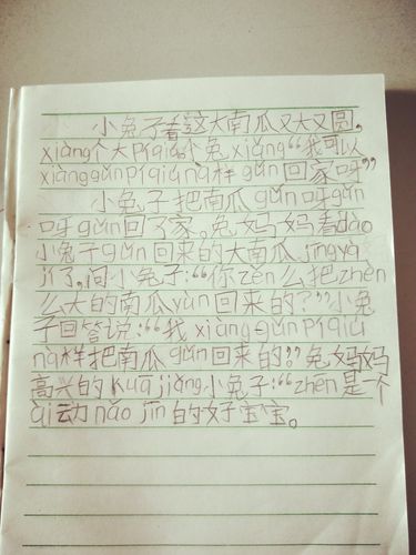 有关写兔子的作文300字（《小兔子的穿越之旅》）