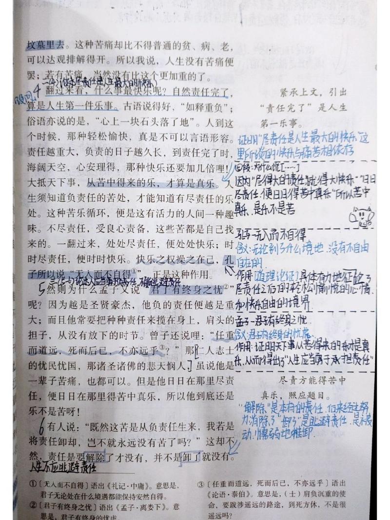 最苦与最乐的作文300字议论文（《生命的涟漪》）