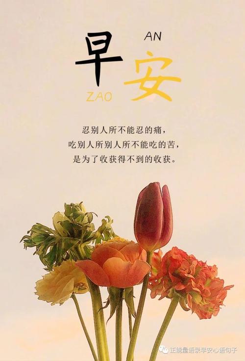 磨难后见彩虹的励志句子（奋斗不止，终有成果）