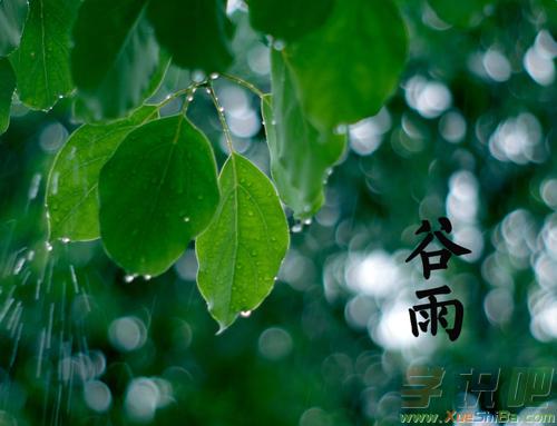 谷雨的祝福诗句（谷雨经典祝福句子-唤醒内心深处的美好）