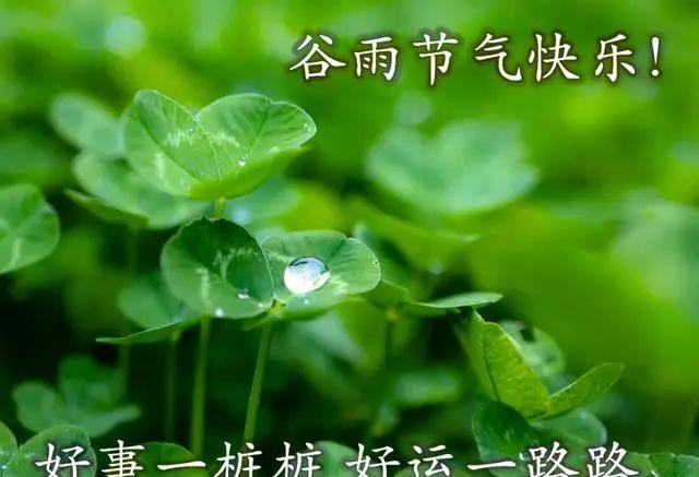 关于谷雨的朋友圈说说（用文字绘制人生，留下美好回忆）