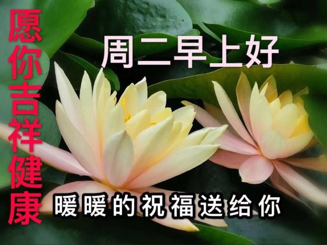 有关冬至早安问候祝福语好句句子的短句有哪些（冬至早安问候——祝福满满的一天）