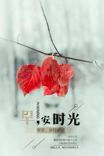 给女友发早安的暖心句子（早安心情美丽）