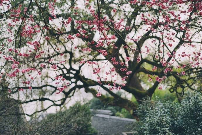 满庭芳优美诗词解释，七首《满庭芳》