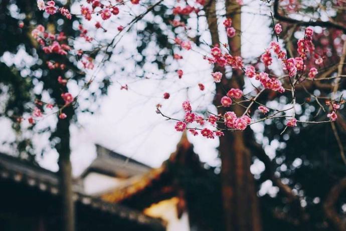 满庭芳优美诗词解释，七首《满庭芳》