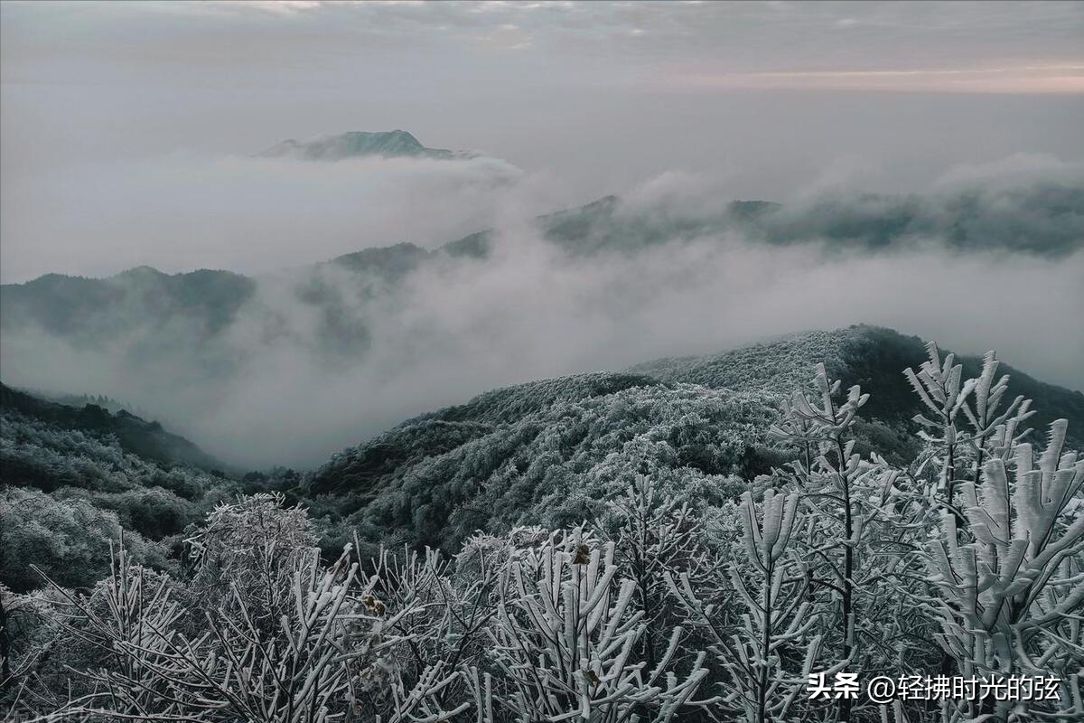 乱雪扑簌簌，流年静悄悄（七首清雅大雪诗词）