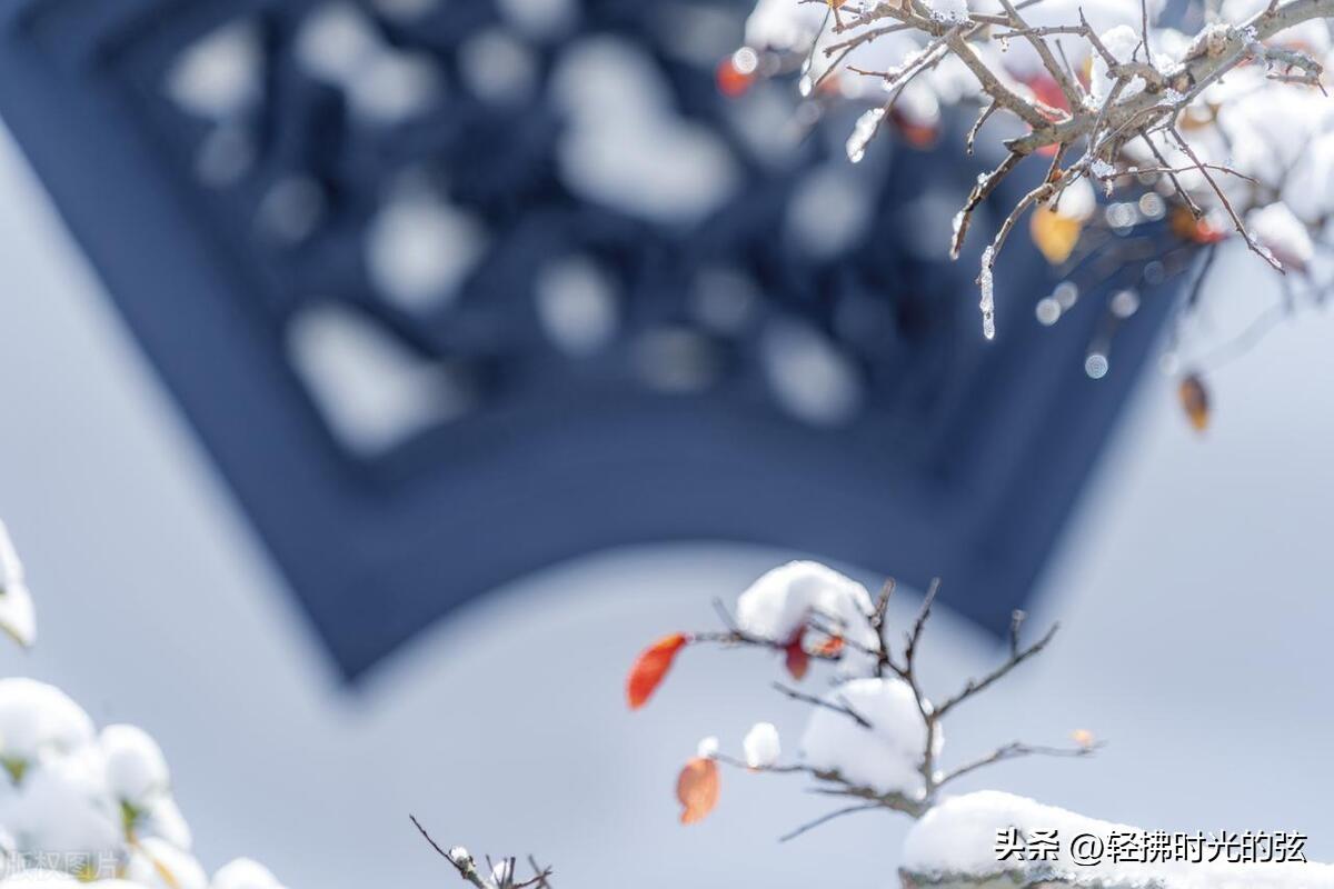 乱雪扑簌簌，流年静悄悄（七首清雅大雪诗词）