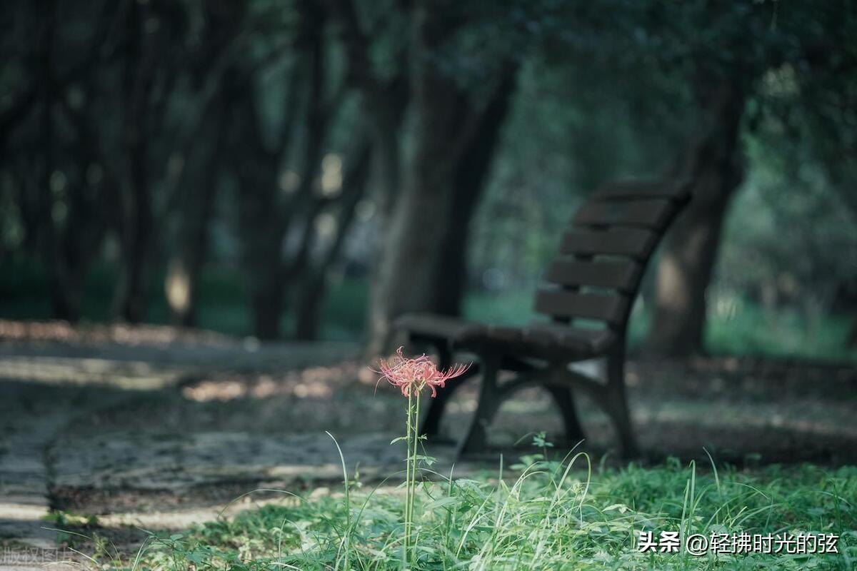 星河沧海、蜉蝣众生（11首经典天地诗词）