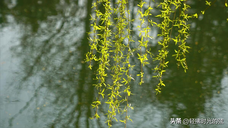 周邦彦著名宋词6首（斜阳影里，京华倦客）