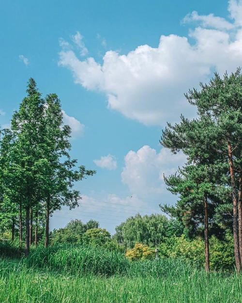 有关风的唯美句子的短句有哪些（风之歌——唯美句子风景）