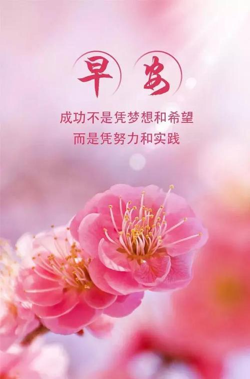 微信朋友圈发的经典语句（微信朋友圈经典句子摘录——唯美短句）