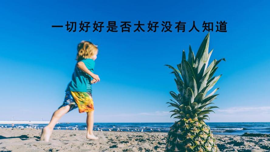 适合发朋友圈的好句子,句句精辟!（用文字留下生命中的精彩瞬间）