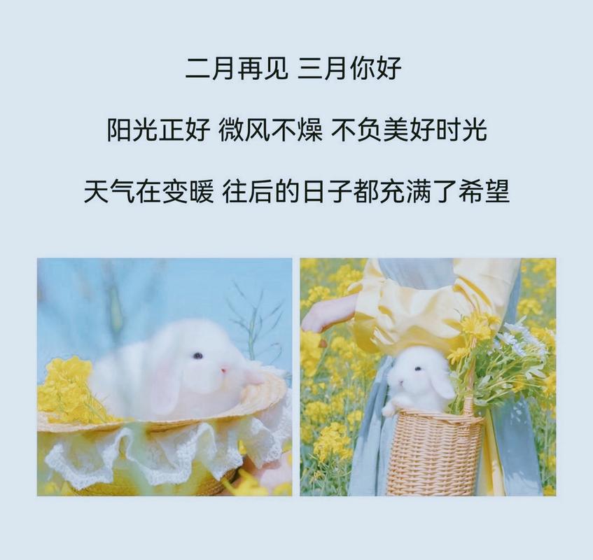 二月再见,三月你好的说说（《再见）