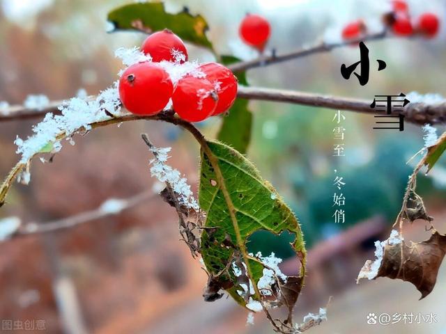 关于小雪节气的祝福语（小雪飘雪祝福语）