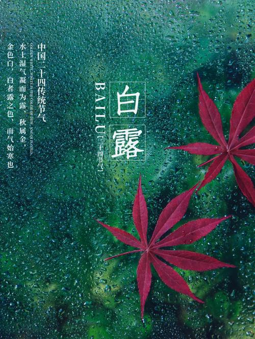 关于白露节气的祝福语（唯美祝福句子欣赏）