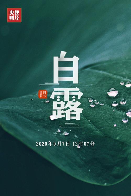 白露节气语录（秋意盎然的二十四节气——白露）