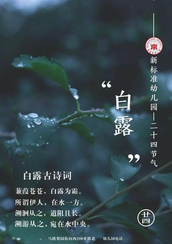 白露节气语录（秋意盎然的二十四节气——白露）