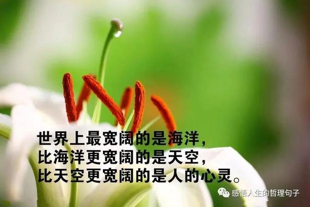 对人生启发的名言警句（人生感悟启发美言——用短句唤醒心灵）