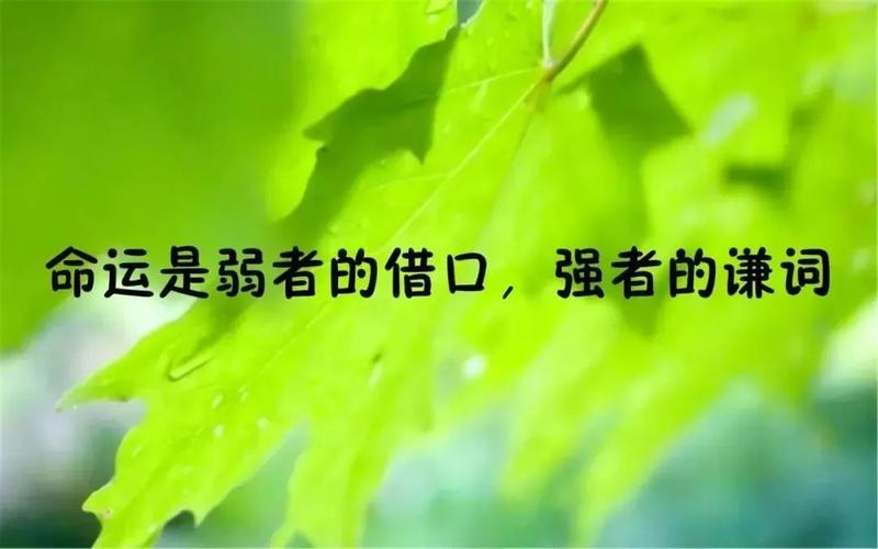 关于人生的励志短句（勇敢前行，不断超越自我）