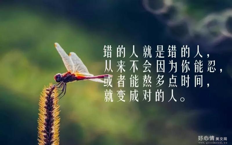 对人生感悟的经典句子2019（生命如花，美好难留）