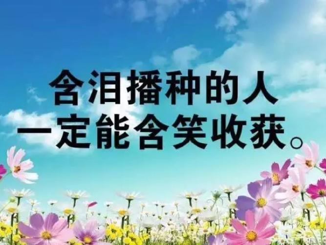 关于对待生活态度的句子（美丽的生活，从态度开始）