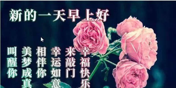 2021年端午节祝福语 简洁大气（端午温暖祝福）