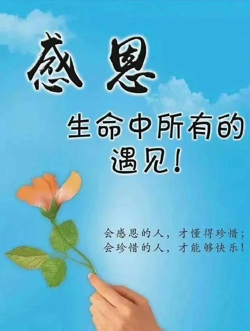 适合感恩节发的朋友圈句子（用唯美的句子，表达对朋友的感恩之情）