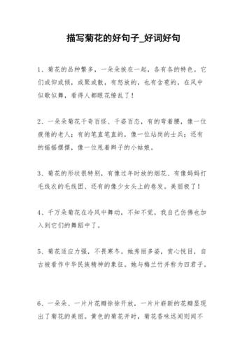 关于干净治愈的文案（净化心灵，治愈身体）