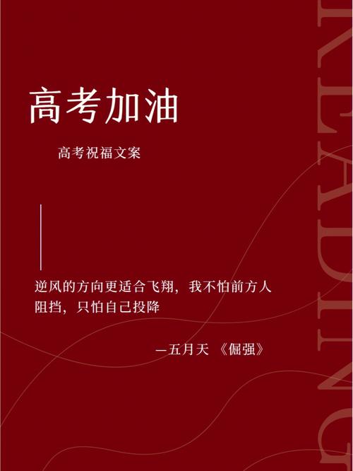 高考加油的说说（用加油朋友圈励志的句子，点亮高考的梦想）