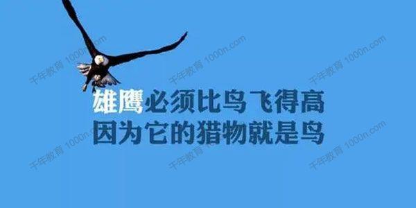 抖音中励志霸气的名言名句（《闪耀人生》——以抖音励志名言名句为主题的唯美短句）