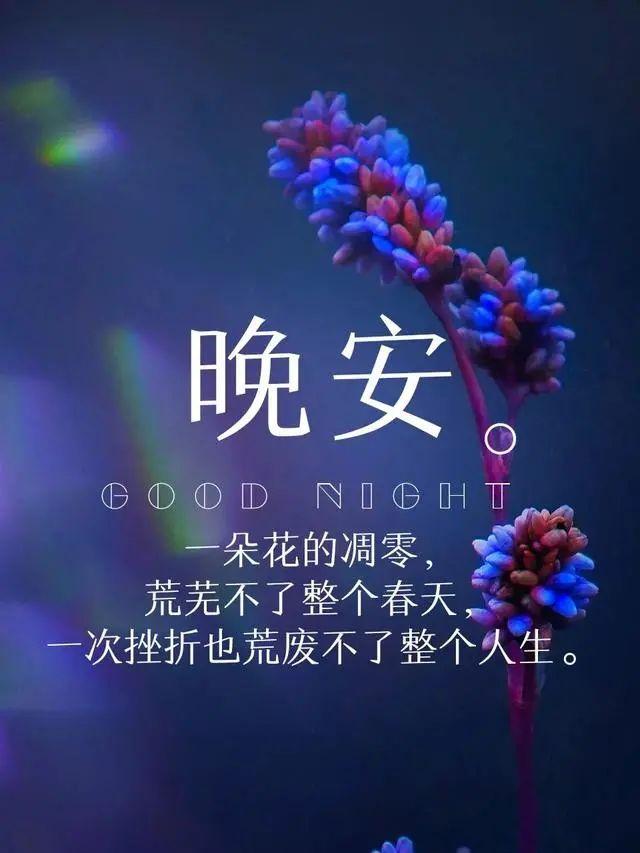 抖音最火晚安句子（晚安温馨句子，一颗温暖的心在照亮世界）