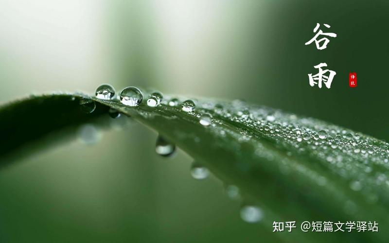 谷雨说说句子（春意盎然，花开满园）