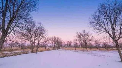 有关冬天下雪的句子唯美的好句子简短（冬日飘雪——一场梦幻般的盛宴）