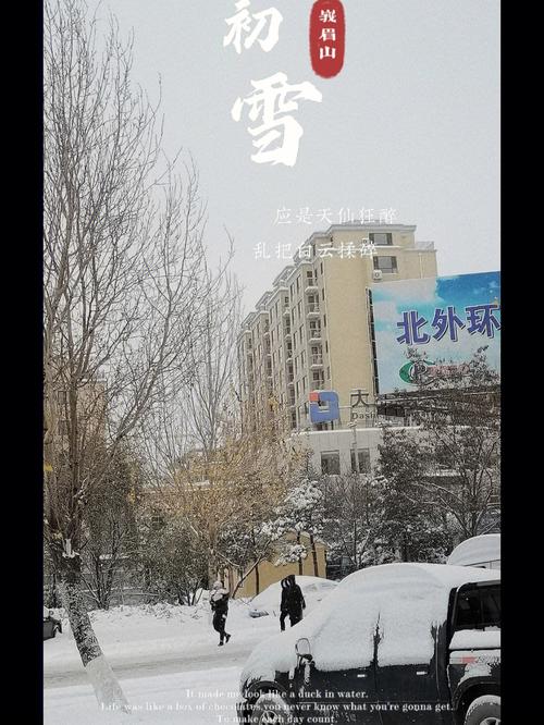 有关冬天第一场雪说说的好句摘抄（冬日初雪-一场绚烂的飞舞盛宴）