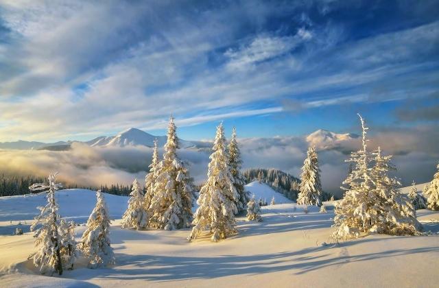 有关冬季初雪经典说说的句子有哪些（《初雪落地，唯美盛宴》）