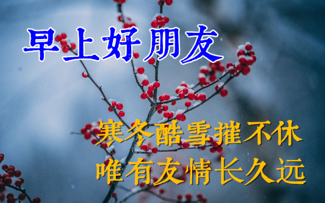 有关大雪节气祝福问候语的句子简短（雪落人间，祝福满心）