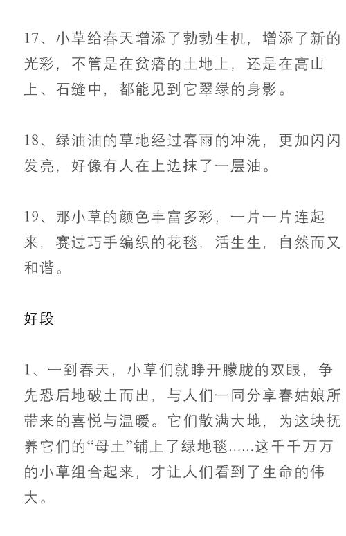 有关春天的好句好段最新的好句有哪些（春天的甜蜜梦境）