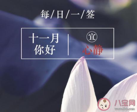 春节后第一天上班的句子（以美丽诗意绽放，迎接新春的缕阳光）