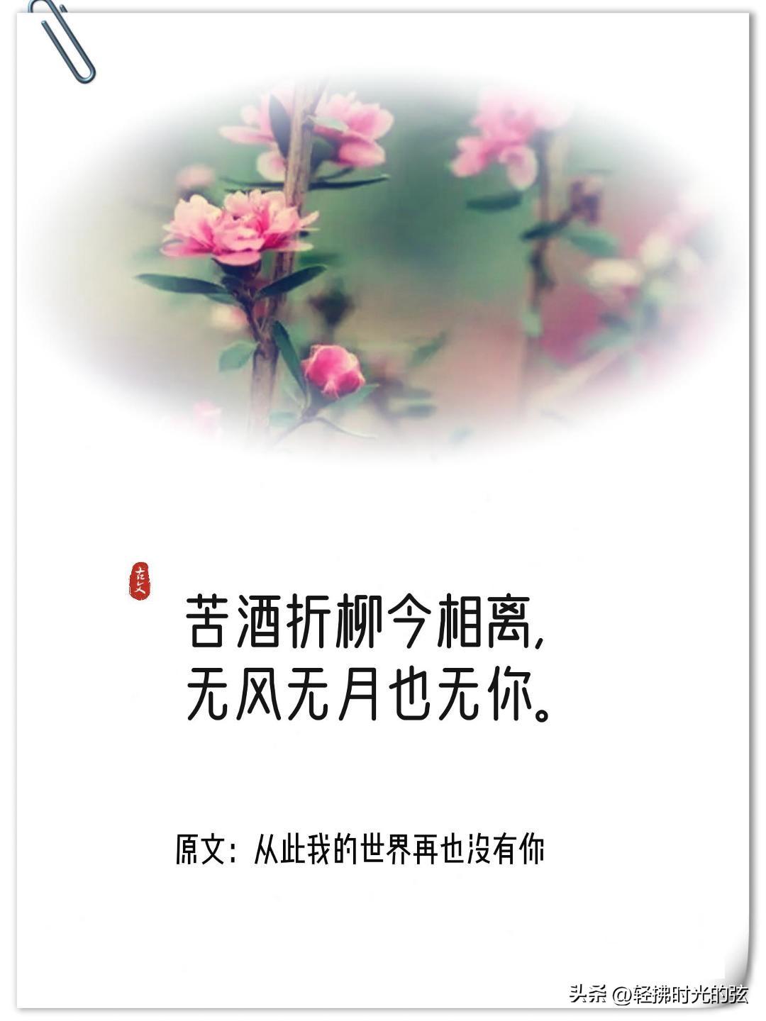 神仙诗词名句摘抄（十四句神仙唯美诗句）