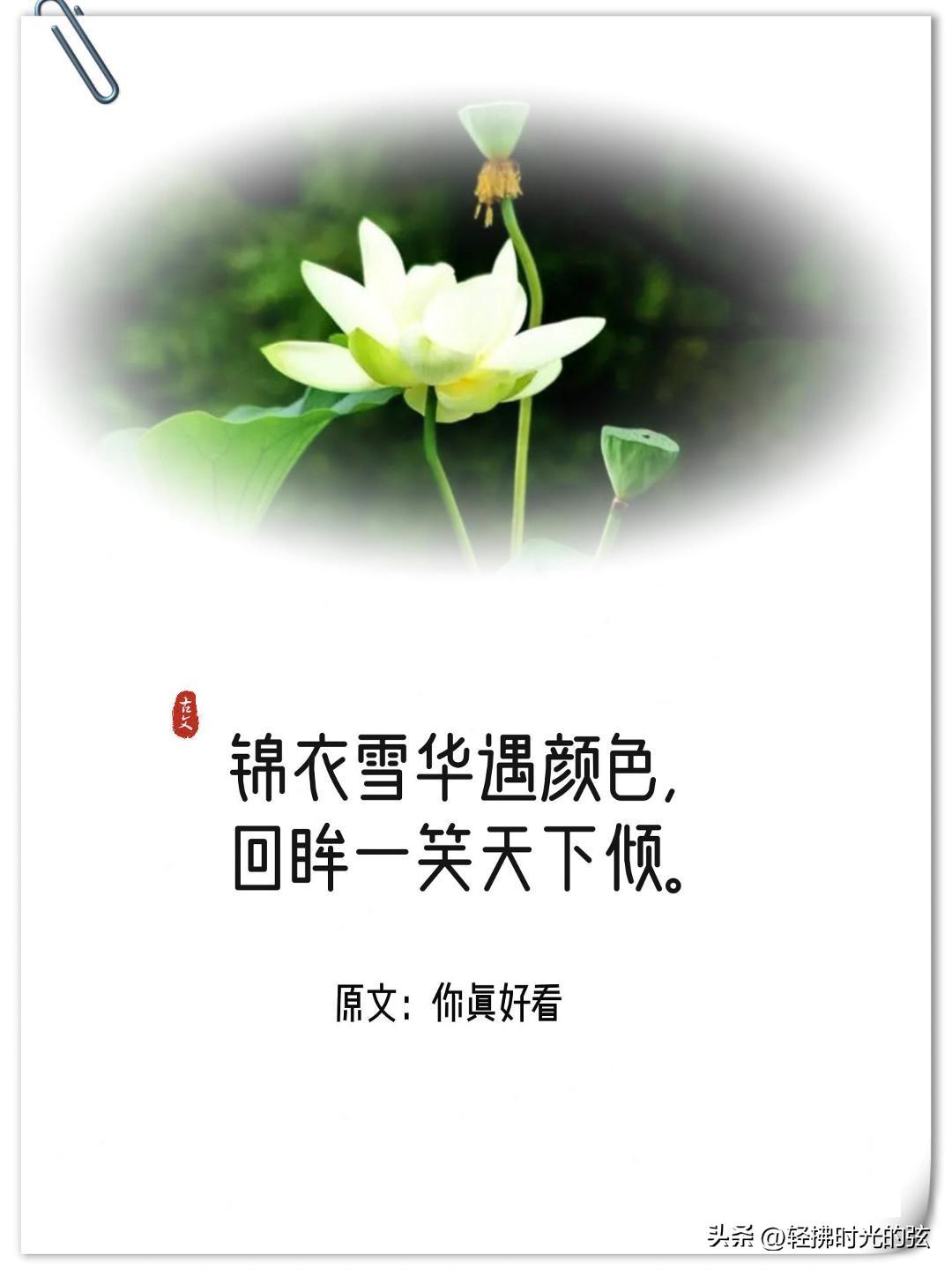 神仙诗词名句摘抄（十四句神仙唯美诗句）