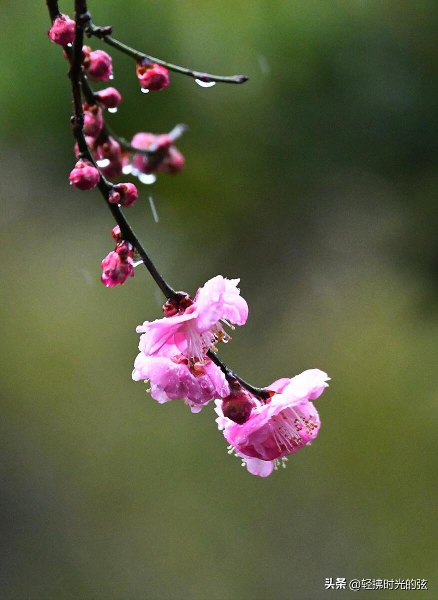 神仙诗词名句摘抄（十四句神仙唯美诗句）