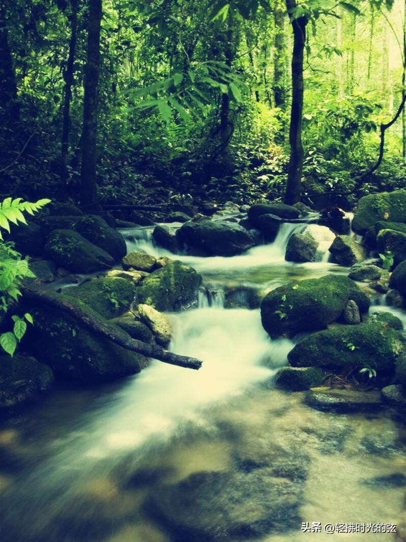 山水淡静，时光流转（分享韦应物经典诗词八首）