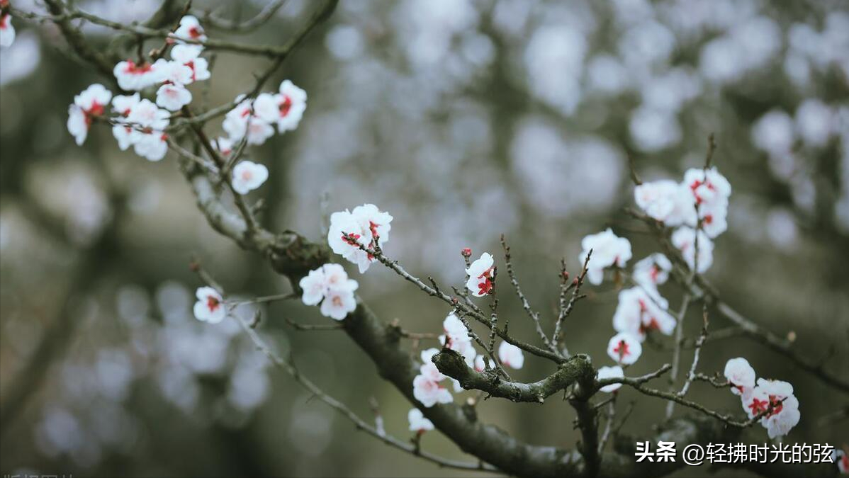 韦庄经典诗词九首分享（杏花吹满头，陌上少年游）