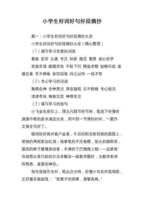 有关初中好词好句好段收集的短句有哪些（初中好词好句好段收集——寻美之旅）