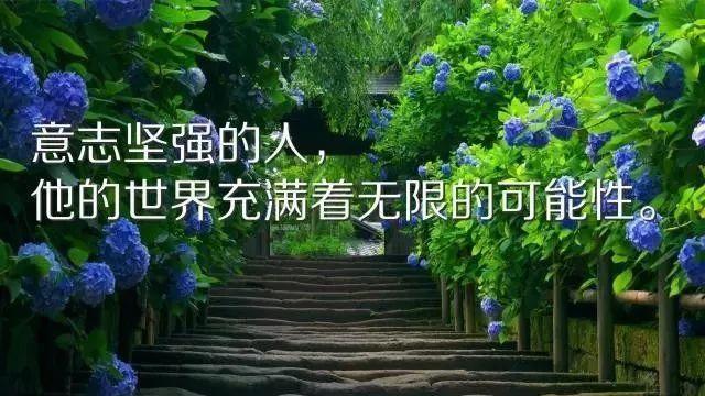 有关出去闯荡的励志句子的句子摘抄（《远航者》——闯荡天涯，勇往直前）