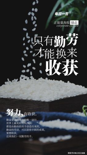 成功的句子有哪些?（《成功之美》）