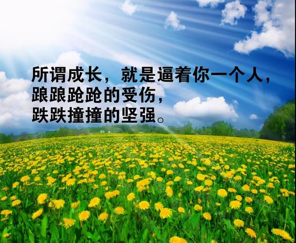 有关别在奋斗年纪选择安逸的名言的短句（安逸的诱惑）