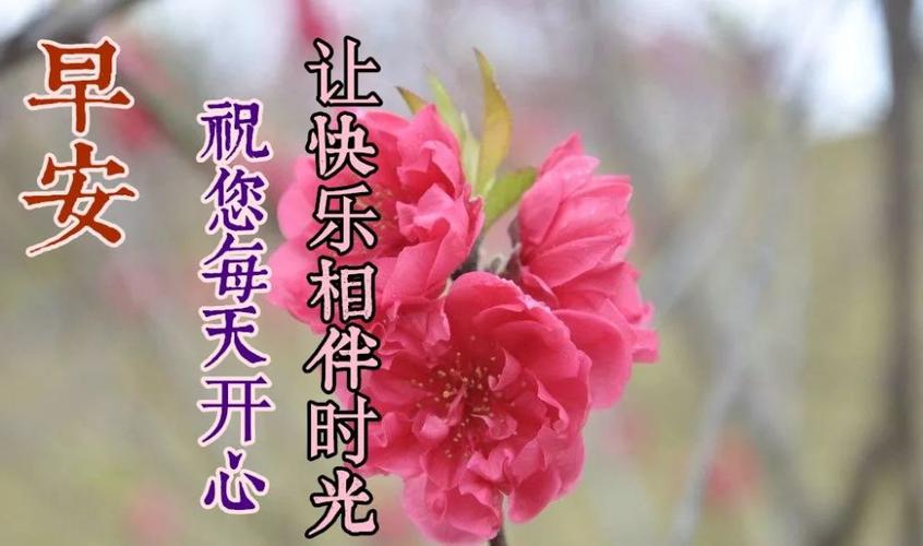 有关毕业微信朋友圈祝福寄语的好句摘抄（离别之时，祝福相伴）