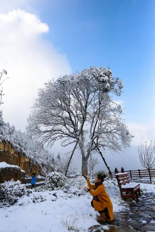 北京2020第一场雪说说（北京初雪，一场典雅的盛宴）