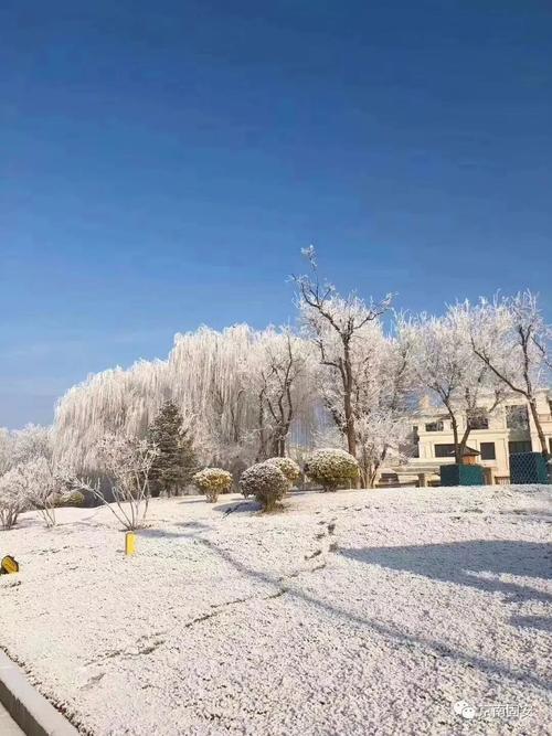 北京2020第一场雪说说（北京初雪，一场典雅的盛宴）